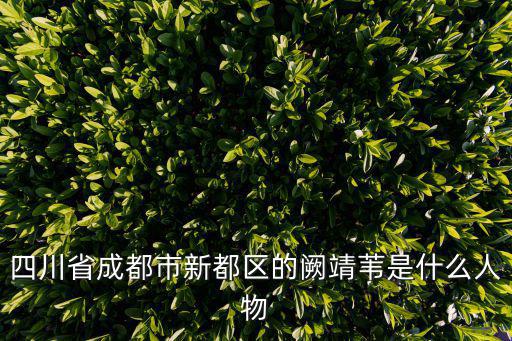 四川省成都市新都區(qū)的闕靖葦是什么人物