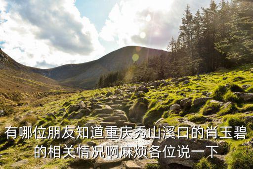 重慶市秀山縣販毒案，重慶市秀山縣被抓人員的案子什么時(shí)候?qū)徬聛?lái)