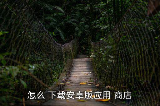 怎么 下載安卓版應用 商店