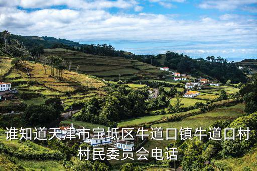 誰知道天津市寶坻區(qū)牛道口鎮(zhèn)牛道口村村民委員會電話