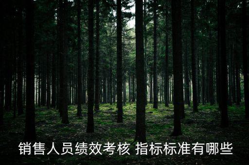 銷售指標(biāo),績(jī)效考核 行為考核(定性)