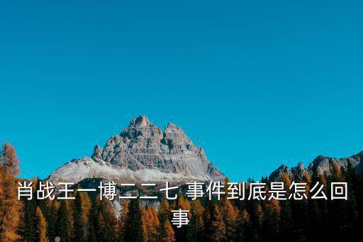 肖戰王一博二二七 事件到底是怎么回事