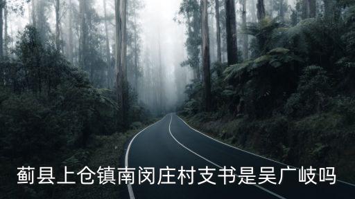 薊縣上倉鎮南閔莊村支書是吳廣岐嗎