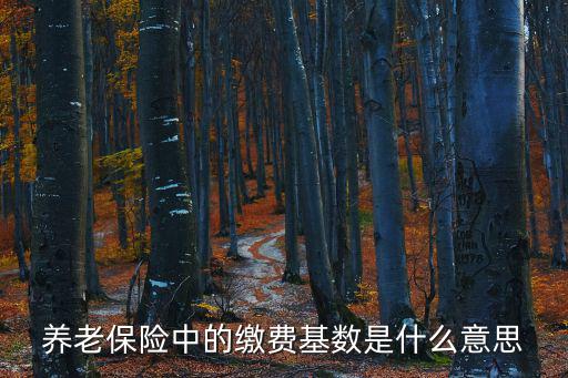 養(yǎng)老保險(xiǎn)中的繳費(fèi)基數(shù)是什么意思