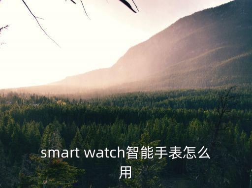 smart watch智能手表怎么用