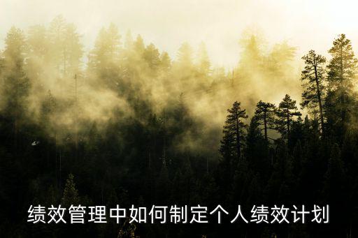 績效管理中如何制定個人績效計劃