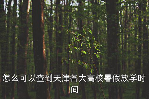 天津市高校什么時候放暑假，今年天津各高校都什么時候放暑假