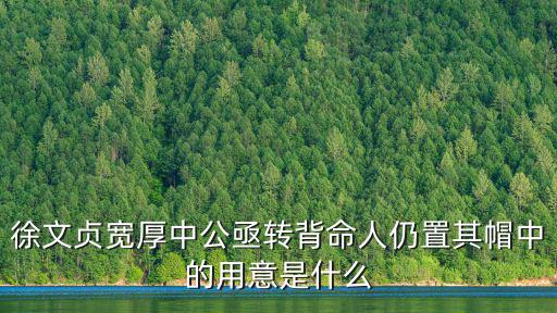 徐文貞寬厚中公亟轉背命人仍置其帽中的用意是什么
