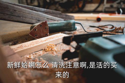 花蛤怎么清洗,如何清洗曬干花蛤?