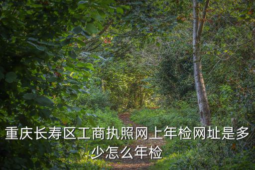 重慶長壽區工商執照網上年檢網址是多少怎么年檢