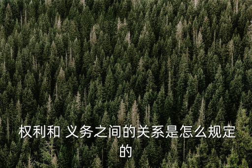 權利和義務的關系,權利與義務之間的關系可從兩方面定義