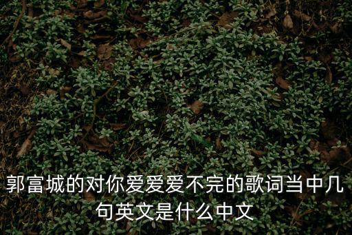 郭富城的對你愛愛愛不完的歌詞當(dāng)中幾句英文是什么中文