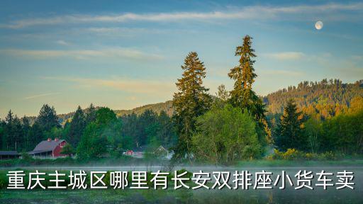 重慶主城區哪里有長安雙排座小貨車賣