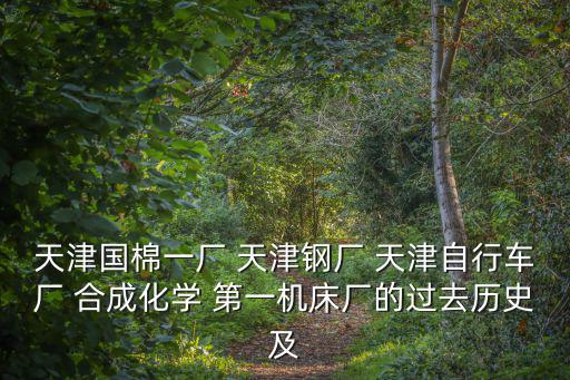 天津國(guó)棉一廠 天津鋼廠 天津自行車廠 合成化學(xué) 第一機(jī)床廠的過(guò)去歷史及