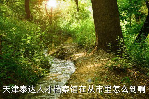 天津泰達人才檔案館在從市里怎么到啊