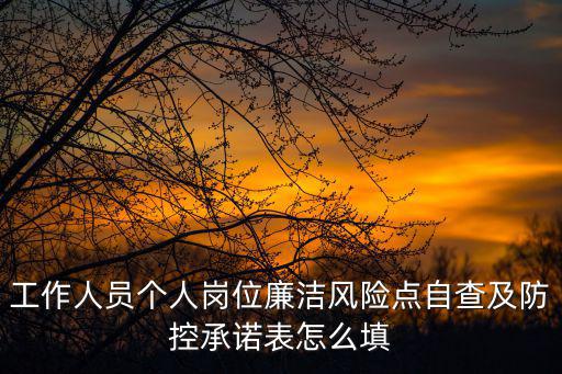 工作人員個人崗位廉潔風險點自查及防控承諾表怎么填