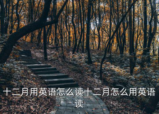december怎么讀,十二月的故事