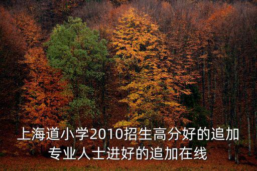 上海道小學2010招生高分好的追加專業人士進好的追加在線