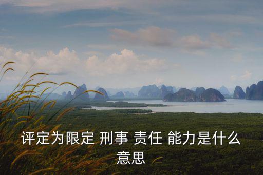 評定為限定 刑事 責任 能力是什么意思