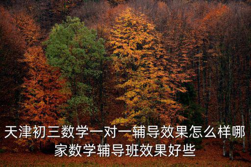 天津初三數學一對一輔導效果怎么樣哪家數學輔導班效果好些