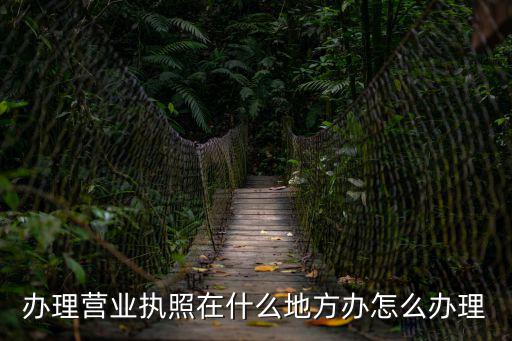 辦理營業(yè)執(zhí)照在什么地方辦怎么辦理