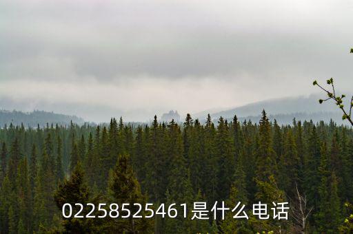 02258525461是什么電話