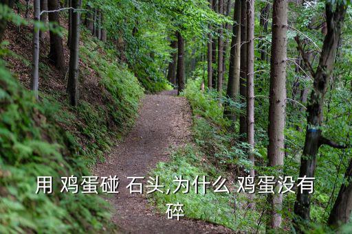 用 雞蛋碰 石頭,為什么 雞蛋沒(méi)有碎