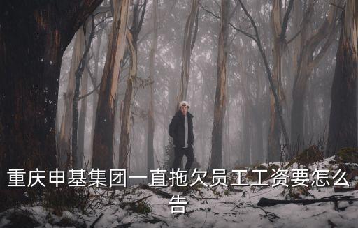 重慶申基集團一直拖欠員工工資要怎么告