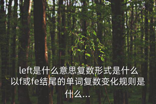  left是什么意思復數形式是什么以f或fe結尾的單詞復數變化規則是什么...