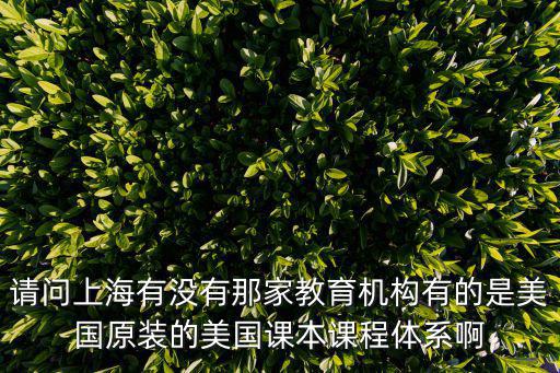請問上海有沒有那家教育機構有的是美國原裝的美國課本課程體系啊