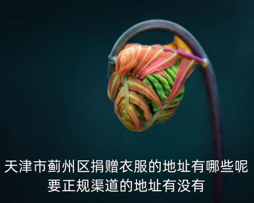 天津市薊州區捐贈衣服的地址有哪些呢要正規渠道的地址有沒有