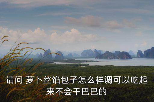 請問 蘿卜絲餡包子怎么樣調(diào)可以吃起來不會干巴巴的