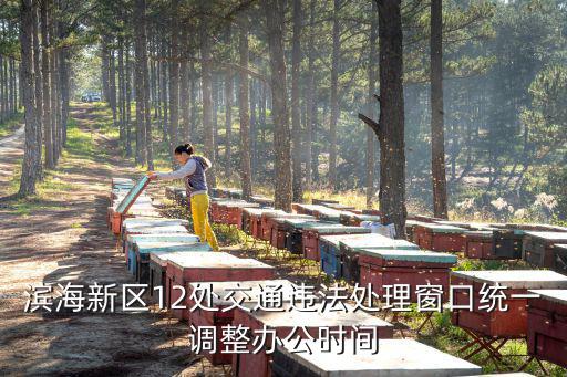 濱海新區12處交通違法處理窗口統一調整辦公時間