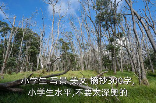 寫景美文摘抄,陽光下慢步行走的人會像獵狗一樣撲向大樹