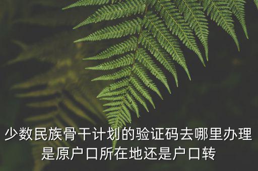 少數民族骨干計劃的驗證碼去哪里辦理是原戶口所在地還是戶口轉