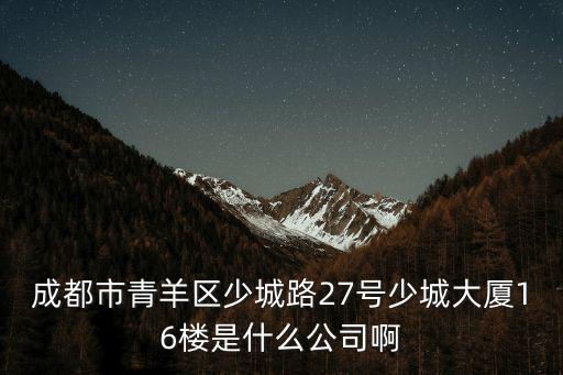 成都市青羊區(qū)少城路27號少城大廈16樓是什么公司啊