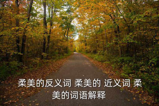 柔美的近義詞,第二集:柔美之美