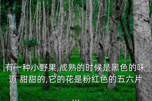 有一種小野果,成熟的時候是黑色的味道 甜甜的,它的花是粉紅色的五六片...