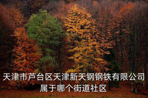 天津市蘆臺區天津新天鋼鋼鐵有限公司屬于哪個街道社區