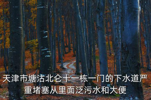 天津市塘沽北侖十一棟一門的下水道嚴重堵塞從里面泛污水和大便