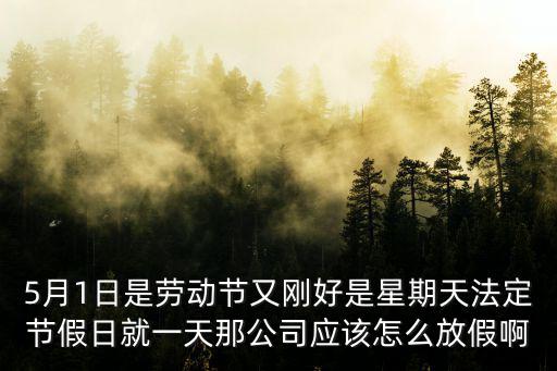 5月1日是勞動(dòng)節(jié)又剛好是星期天法定節(jié)假日就一天那公司應(yīng)該怎么放假啊