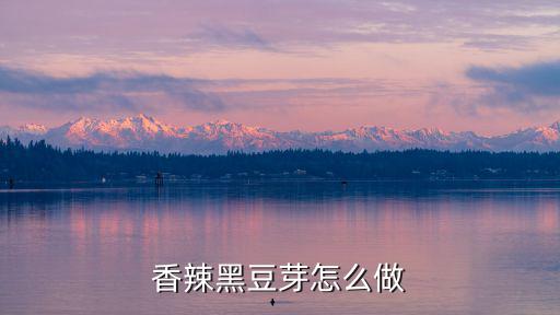 香辣黑豆芽怎么做