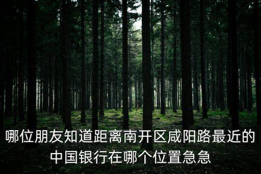 哪位朋友知道距離南開區咸陽路最近的中國銀行在哪個位置急急