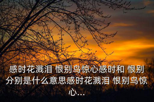 感時花濺淚 恨別鳥驚心感時和 恨別分別是什么意思感時花濺淚 恨別鳥驚心...