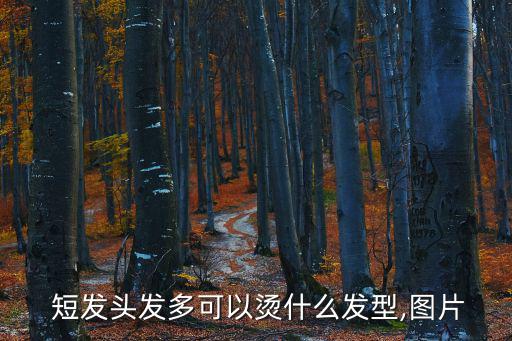  短發頭發多可以燙什么發型,圖片