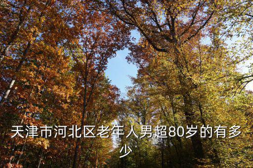天津市河北區老年人男超80歲的有多少