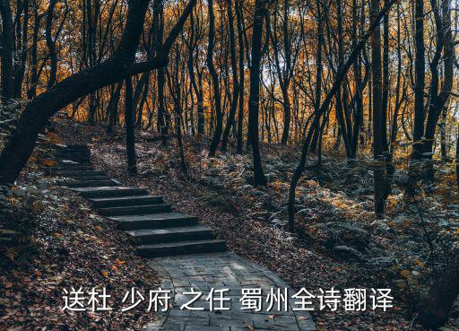 送杜少府之任蜀州,《送杜少府之任蜀州》是唐代詩人送別詩之一