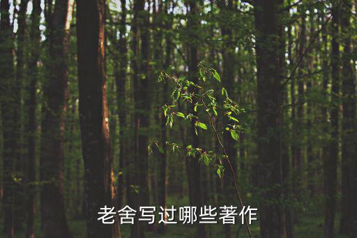 老舍寫過哪些著作