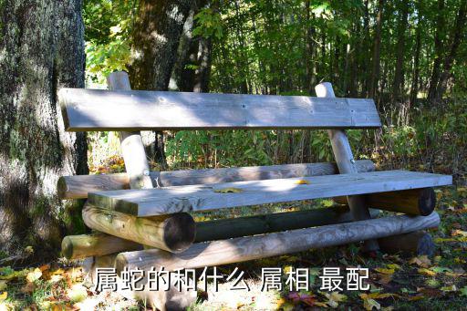 屬蛇和什么屬相最配,二十二生肖互相碰撞表示什么意思?