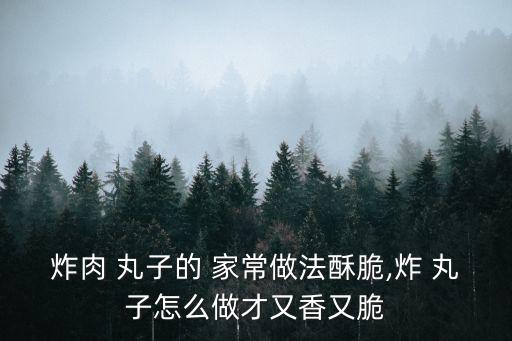 炸豬肉丸子的家常做法,豬肉怎么做?